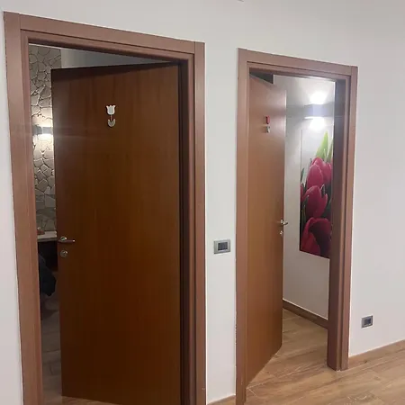 Tulipano Rosso * בארי