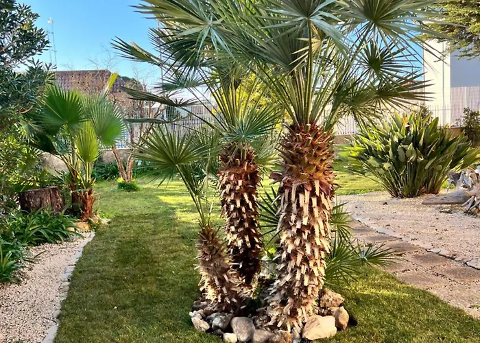 Tulipano Rosso * バーリ